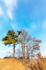 Obraz premium 저수지