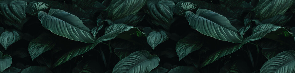 Aesthetically pleasing wallpaper featuring a stunning arrangement of tropical leaves.