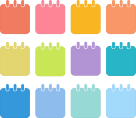 Infographic 12 steps Timeline in 1 year template business data illustration