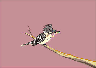 夕暮れに小魚をくわえて木の枝に止まっているヤマセミ