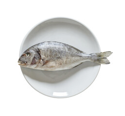 Dorado, raw fresh uncooked fish, on white plate isolated on white background with clipping path