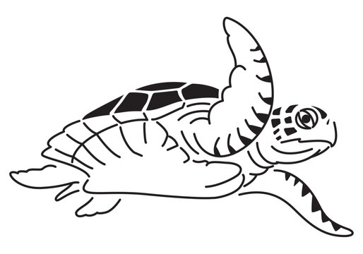 sea turtle drawing swimming, black illustration on white background.