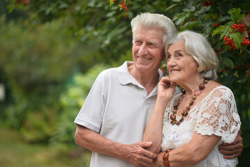  elderly couple walks in nature in summer