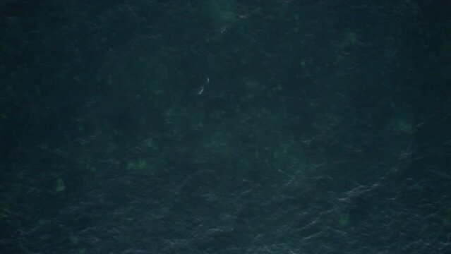 Sunset Birds Eye of the waters of the Gulf of Mexico. Located in Cancun, Mexico. Aerial 4K drone video