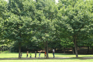 children in the park