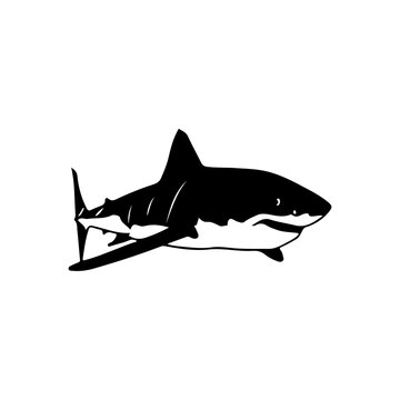 vector illustration of black shark