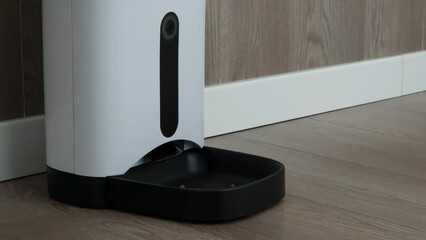 A portion of dry cat food is poured from a smart automatic pet feeder on a schedule, remotely. Slow motion. Automatic feeder for pets. Cat diet.