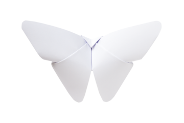 Paper butterfly origami isolated on a white background