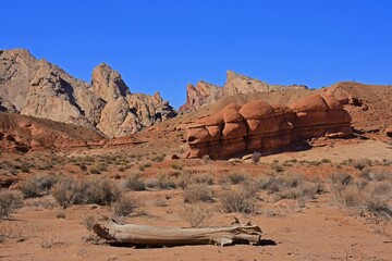mushroom red rock formations, a log,  and the spectacular geological uplift of the san rafael swell anticline on a sunny  spring day, west of green river, utah 