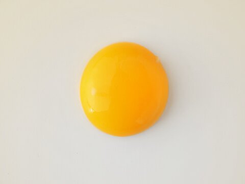 yema huevo close-up concepto