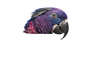 Obraz premium a jungle-themed macro photographic illustration of a blue indigo and purple macaw parrot with green eyes transparent background in PNG. T-shirt design. Generative AI