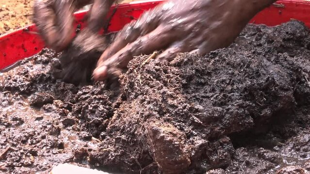 Closeup of soil and compost or cow dung mixed with water to form a seed ball