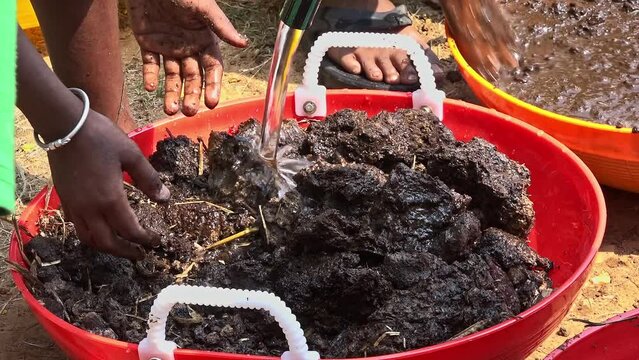 Closeup of soil and compost or cow dung mixed with water to form a seed ball