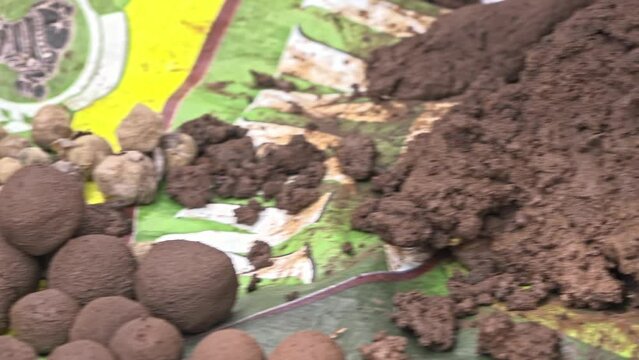 Closeup video of hands preparing seed balls with soil and compost mixture