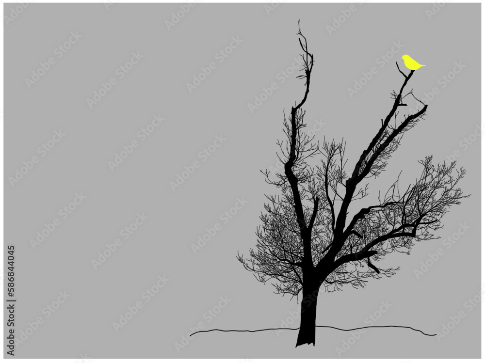 Wall mural bare tree silhouette with yellow bird