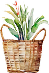 flowers in wicker basket