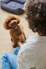 Vertical image of owner training her little dog in the room at home