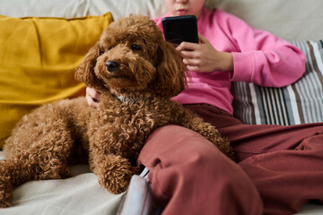 Close-up of little girl using smartphone while resting on sofa with her dog