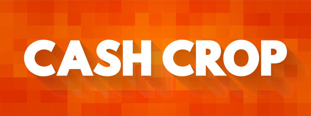Cash Crop is an agricultural crop which is grown to sell for profit, text concept background