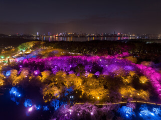 Wuhan East Lake Mushan Cherry Blossom Garden Night scenery