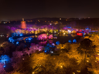 Wuhan East Lake Mushan Cherry Blossom Garden Night scenery