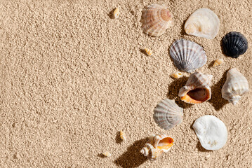 Fototapeta na wymiar Summer vacation design template, different sea shells on hot beige beach sand texture, background with copy space