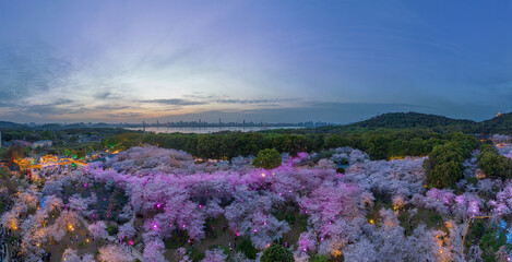 Obraz premium Wuhan East Lake Mushan Cherry Blossom Garden Night scenery