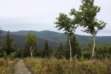 GASPESIE - QUEBEC - CANADA - AUTOMNE
