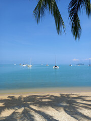 Sailboats and palm trees on the beach in Koh Samui, Thailand. Ocean landscape as background. 