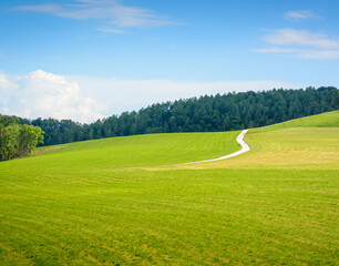 View of a green hill, road and forest in the distance against a light blue sky, Austria