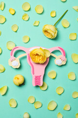 Women's health and women's healthcare concept with uterus