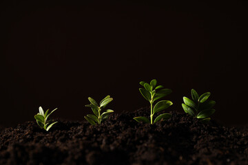 Earth Day, Environment and Eco concept, space for text