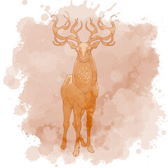 A red deer stag standing in full height, front view, magnificent antlers. Line drawing isolated on watercolour grunge textured background. EPS10 Vector illustration