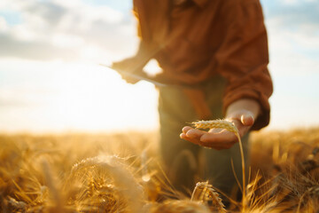 Tablet in the hands of a woman farmer. Smart farm. Idea of a rich harvest. - obrazy, fototapety, plakaty