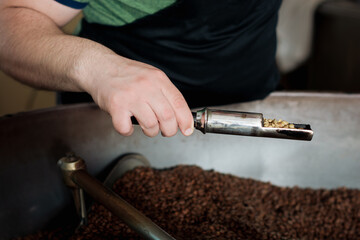 Fototapeta na wymiar Close-up of man's hands holding freshly roasted aromatic coffee beans