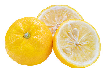 Yuzu Orange fruit on White backghround. Sweet Yuzu Orange fruit isolate on white PNG File