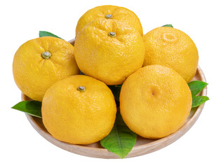 Yuzu Orange fruit on White backghround. Sweet Yuzu Orange fruit isolate on white PNG File
