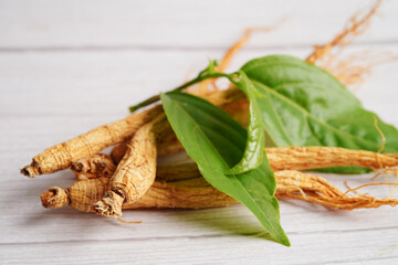 Ginseng roots and green leaf, healthy food.