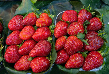 Red Strawberries in the Spring Season, Grand Bazaar Eminonu, Fatih Istanbul, Turkiye 