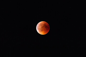 Bloodmoon