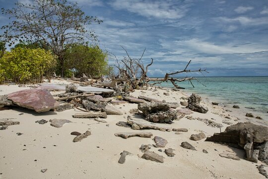 A white sandy beach on tiny Mantigue Island near Camiguin in the Philippines, rocks in the foreground, a dead tree trunk in the background.