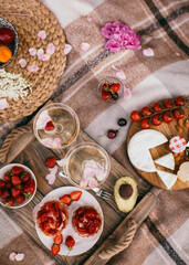 Picnic on nature. Young woman having picnic with champagne