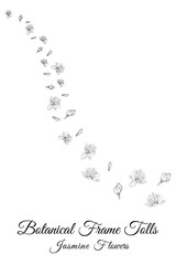 jasmine line flow of flower petals flowers.
frame and with background vector illustration.