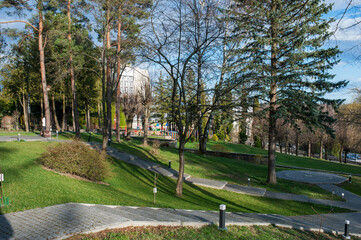 Summer in a landscape park...Trees and bushes in green clothes.