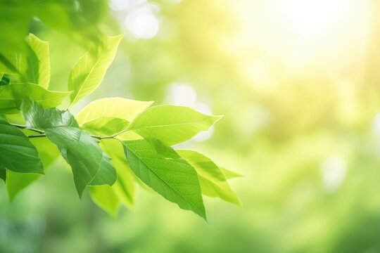 The summertime garden's green leaf nature. As a spring background cover page or greenery wallpaper, natural green leaves plants are used. Generative AI