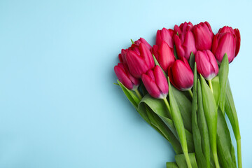 Many beautiful tulips on light blue background, flat lay. Space for text