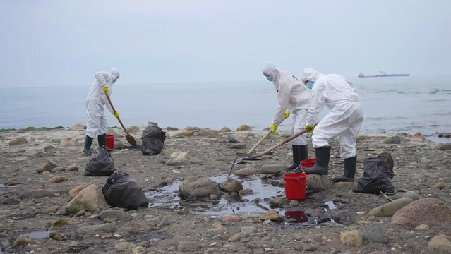 after oil spill and oil pollution of the sea beach ,volunteers clean ocean coast after a tanker wreck