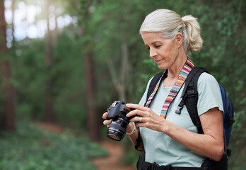 Senior woman, hiking and photography with digital camera on trail in nature park. Female hiker,...