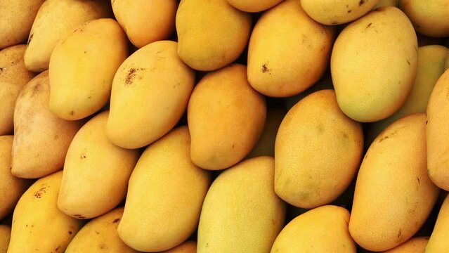 mangoes in a raw at fruit market