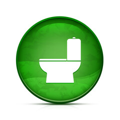 Toilet icon on classy splash green round button illustration